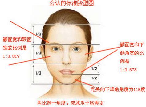 臉頰肉多面相|顴骨高代表甚麼？顴骨面相7種：突出、有肉、不對稱。